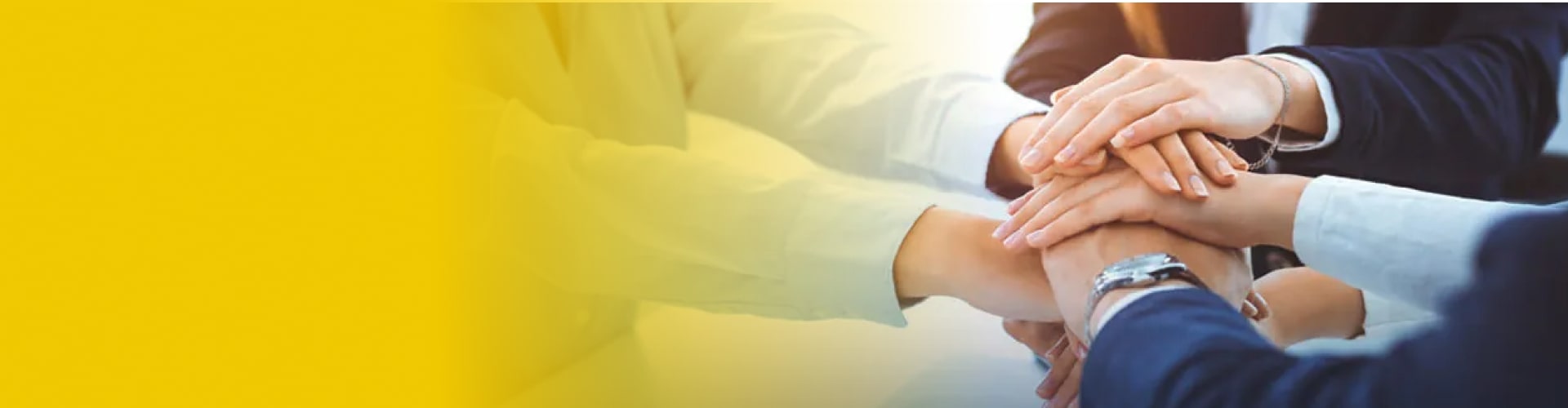 beat365智能科技丨AI+3D相机和机器视觉科技公司